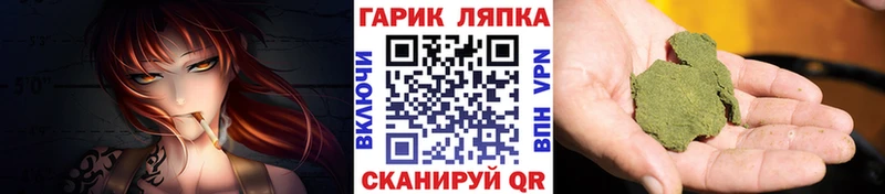 ГАШ Premium Сунжа