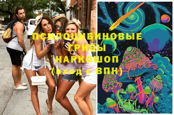 стаф Наволоки