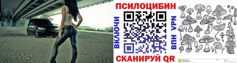 Галлюциногенные грибы Cubensis  даркнет сайт  Сунжа 