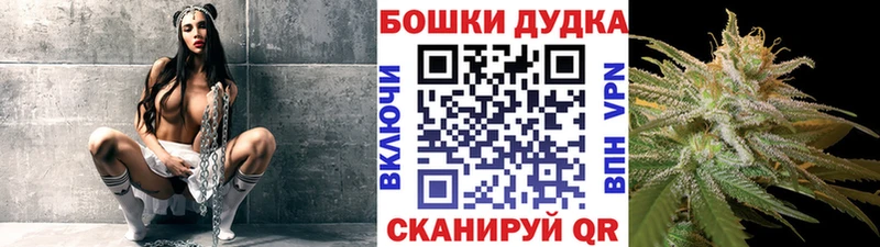 Канабис семена  Сунжа 